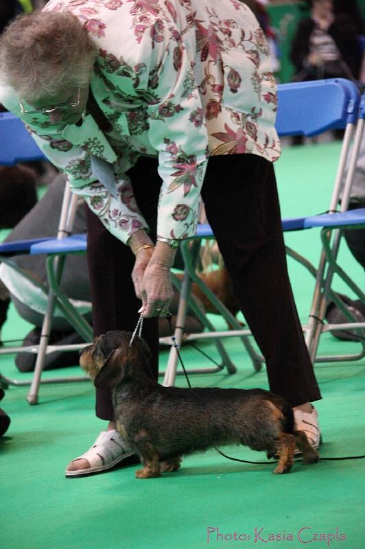 Crufts2011_2 1581.jpg